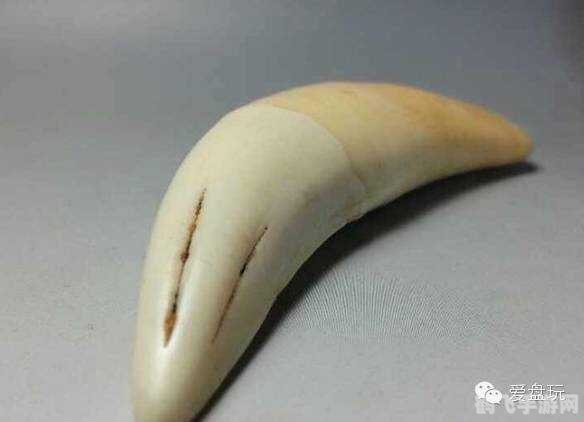 牙板数敲珠一串,揭秘古老游戏中的神秘“牙板”