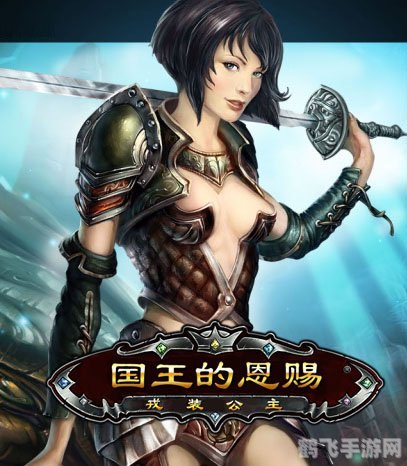 国王的恩赐之戎装公主手游攻略:掌握秘籍,成为无敌公主!