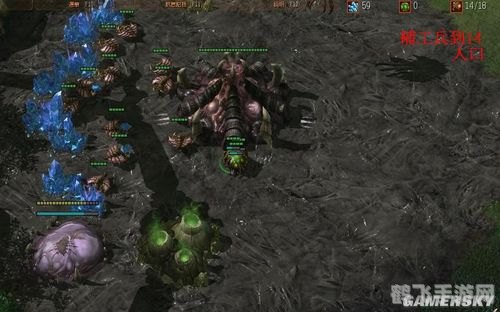 星际2神族开局,星际2神族开局全攻略