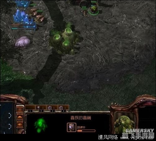 星际2神族开局,星际2神族开局全攻略