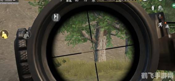 和平精英十大狙击点位,和平精英：掌握十大狙击点位，决胜战场