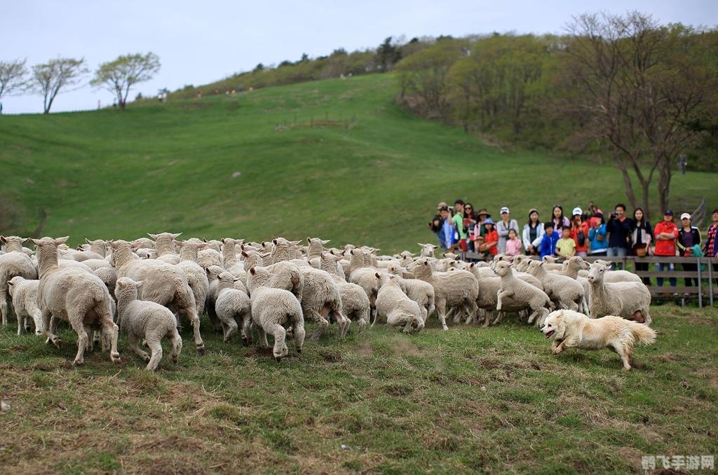 QQ农场牧场餐厅三合一最新版全方位攻略,打造你的虚拟农业帝国!