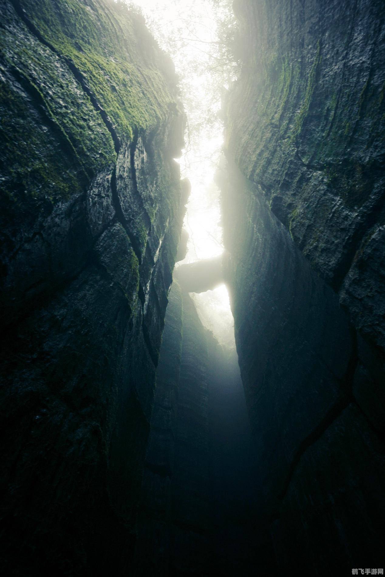 迷雾探险：穿越未知的冒险之旅