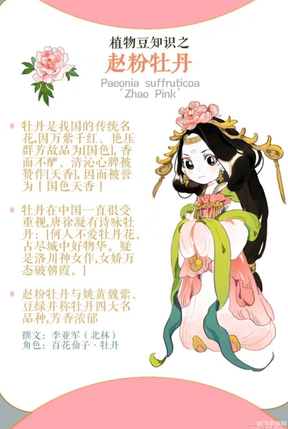 百花物语:镜花缘深度解析与攻略指南