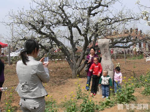 醉八仙职业深度解析:揭秘各职业特色与玩法攻略