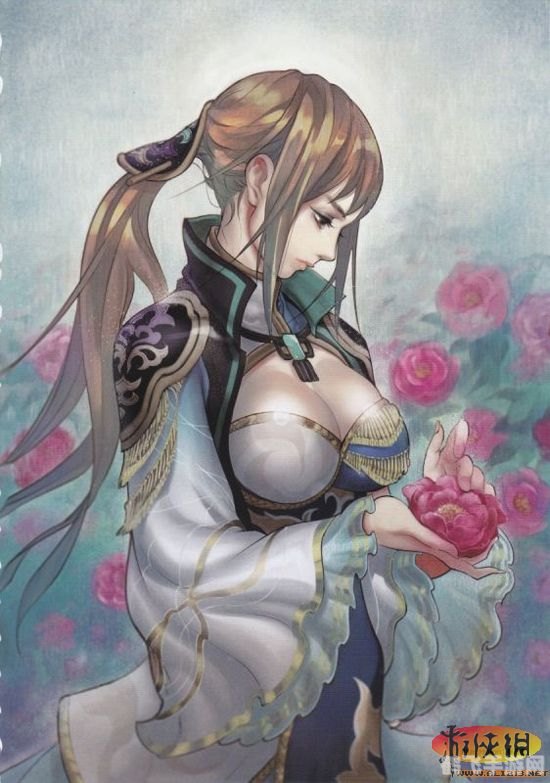 三国梦想王元姬无惨游戏,三国梦想：王元姬无惨——征战策略与深度解析