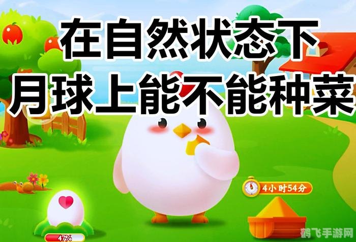 月球种菜大挑战:蚂蚁庄园手游攻略