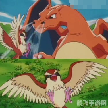 宠物精灵王,宠物精灵王攻略:成为顶级训练师的秘诀!