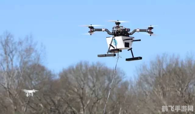 探秘翼龙 艾尼维亚：冰封之翼的传奇之旅