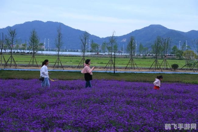 胜利的召唤,胜利的召唤：致胜秘诀与游戏攻略大揭秘