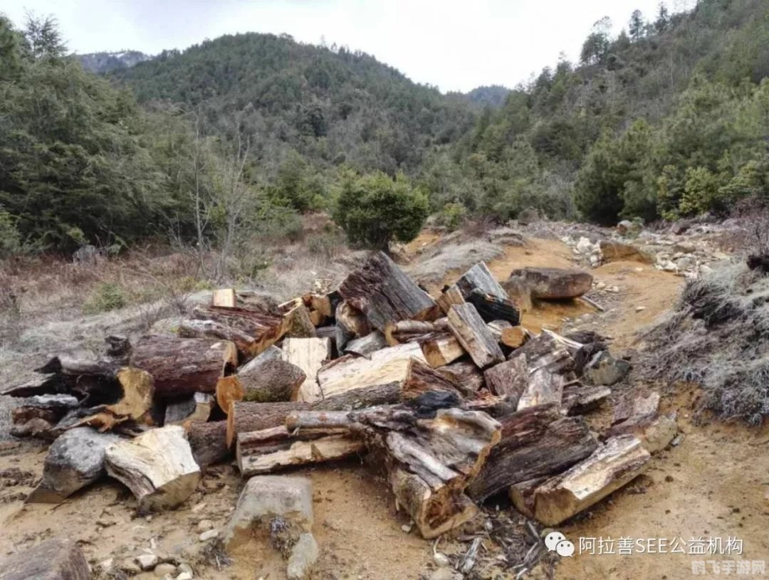 方舟 生存进化,方舟：生存进化手游攻略——探索未知，生存至上