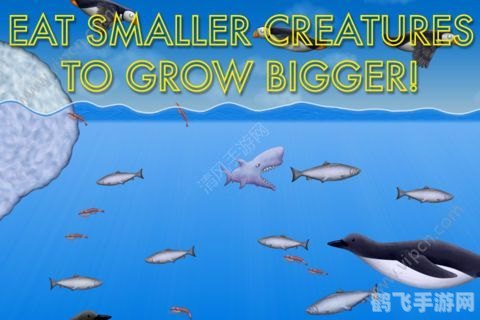 美味星球1,美味星球1：大胃王冒险攻略