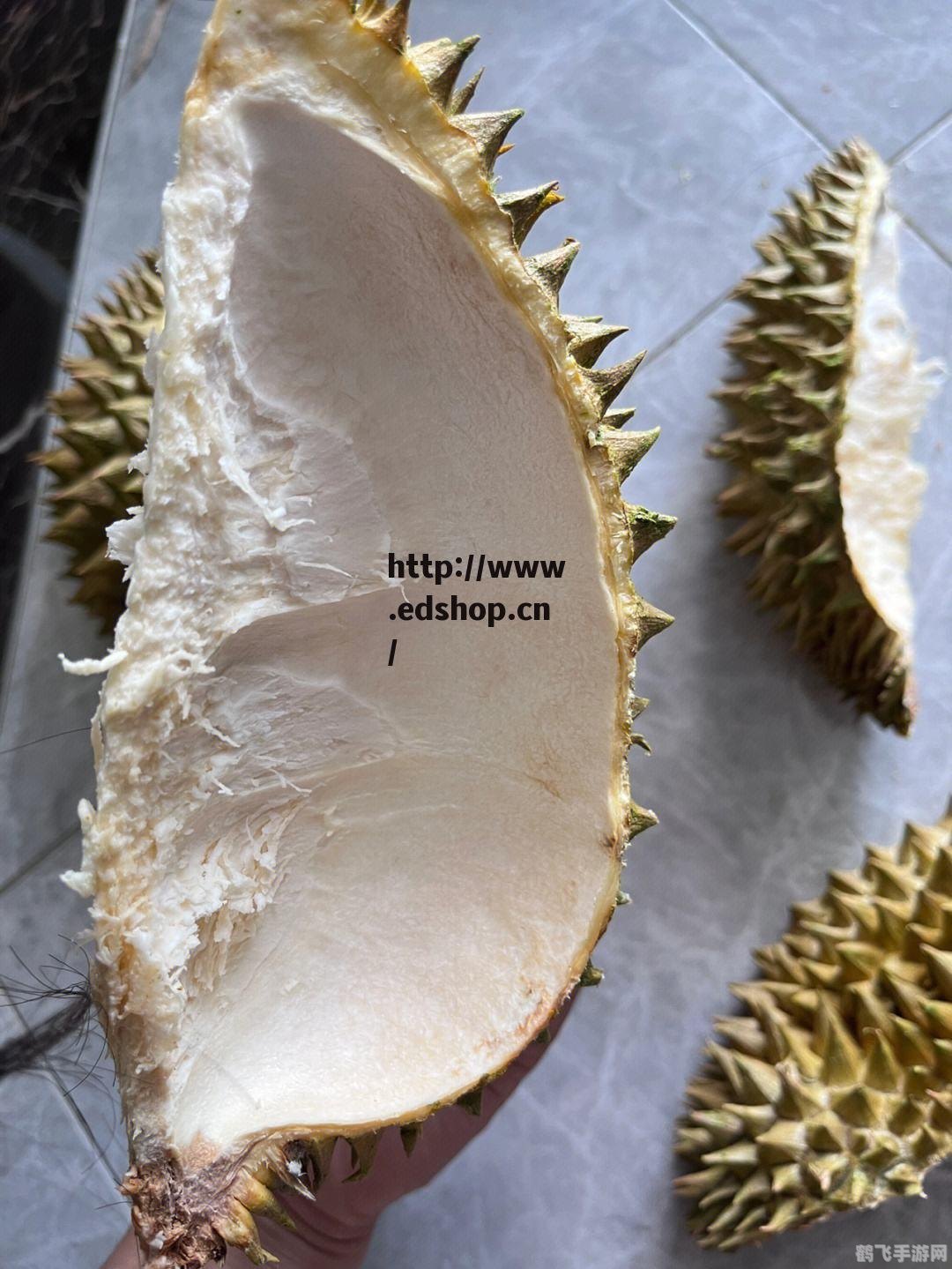 榴莲色斑让你流连忘返503,榴莲色斑:探秘503世界的绝妙之旅