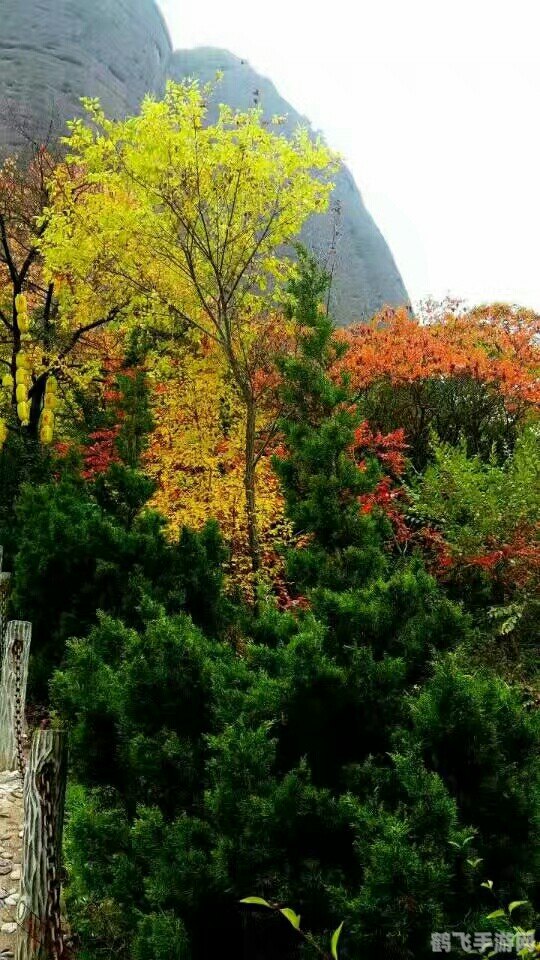 冰块推推乐：挑战你的解谜极限！