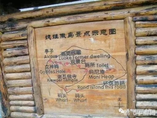 洛克王国等级系列发现之旅：全面攻略与玩法解析