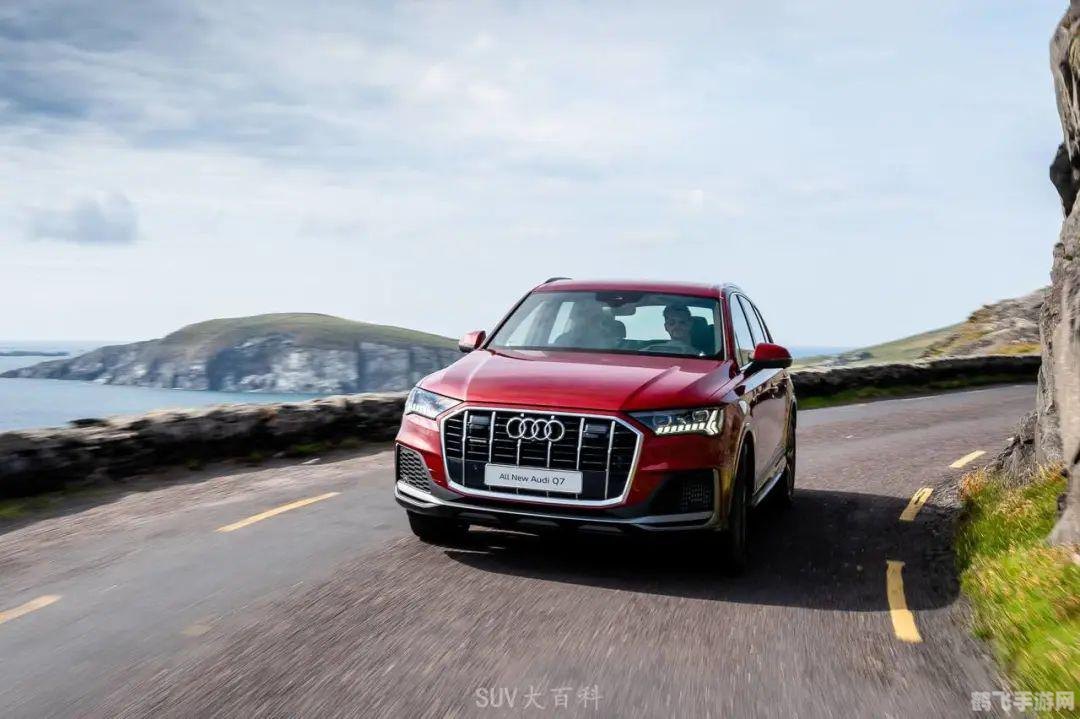 固执胜利者的胸甲:不屈意志铸就传奇护甲