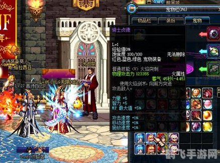 DNF骑士贞德角色深度解析与攻略指南