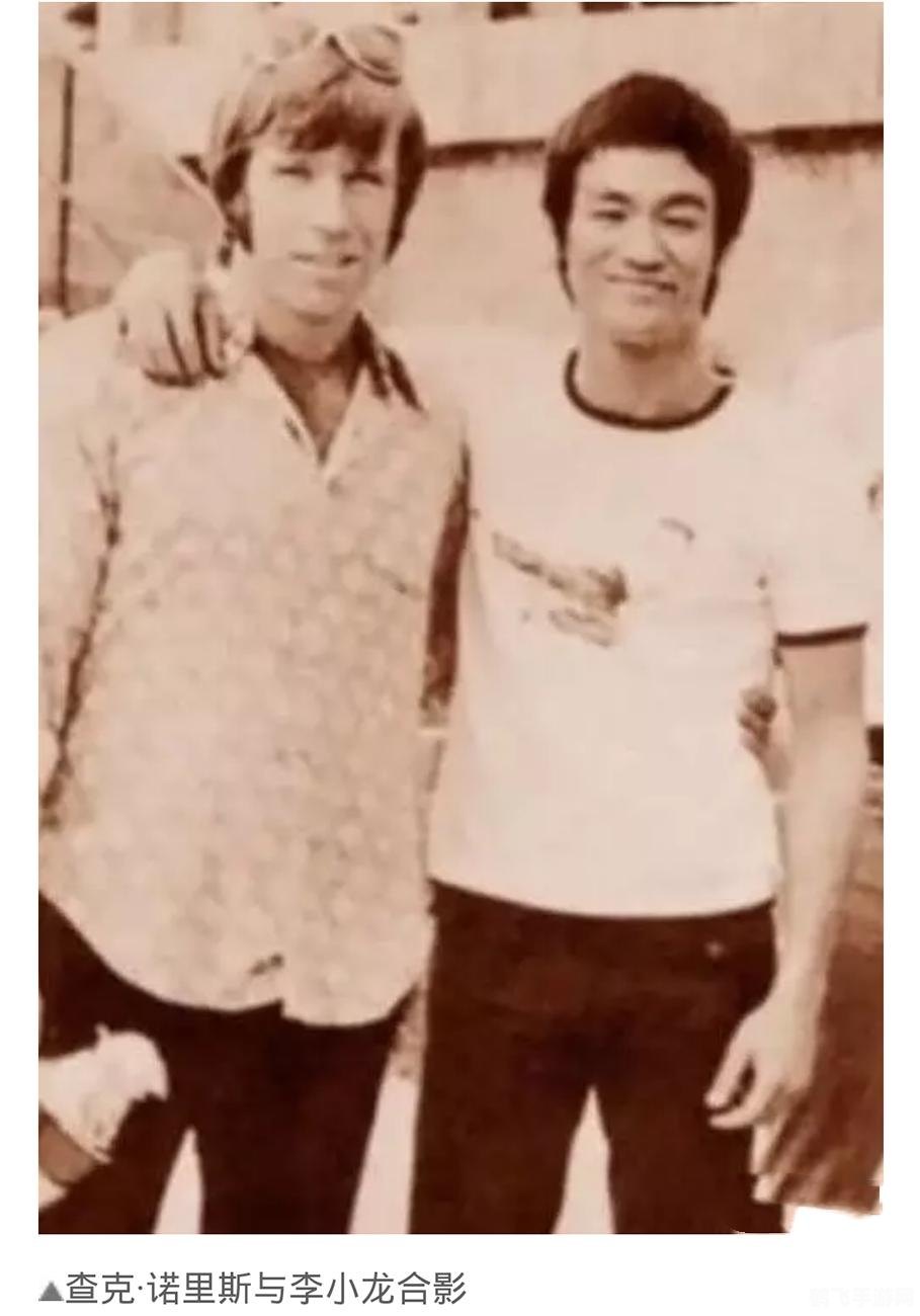 征服斗兽场：手游攻略与玩法大揭秘