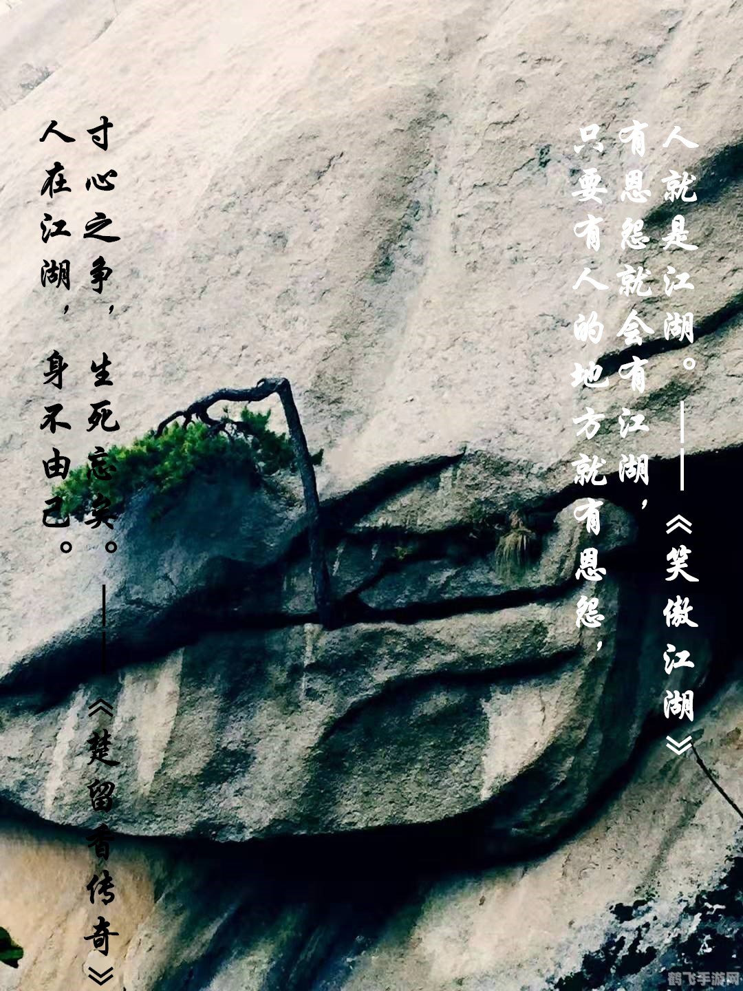 天涯明月刀明月心,天涯明月刀明月心手游攻略:成为江湖传奇