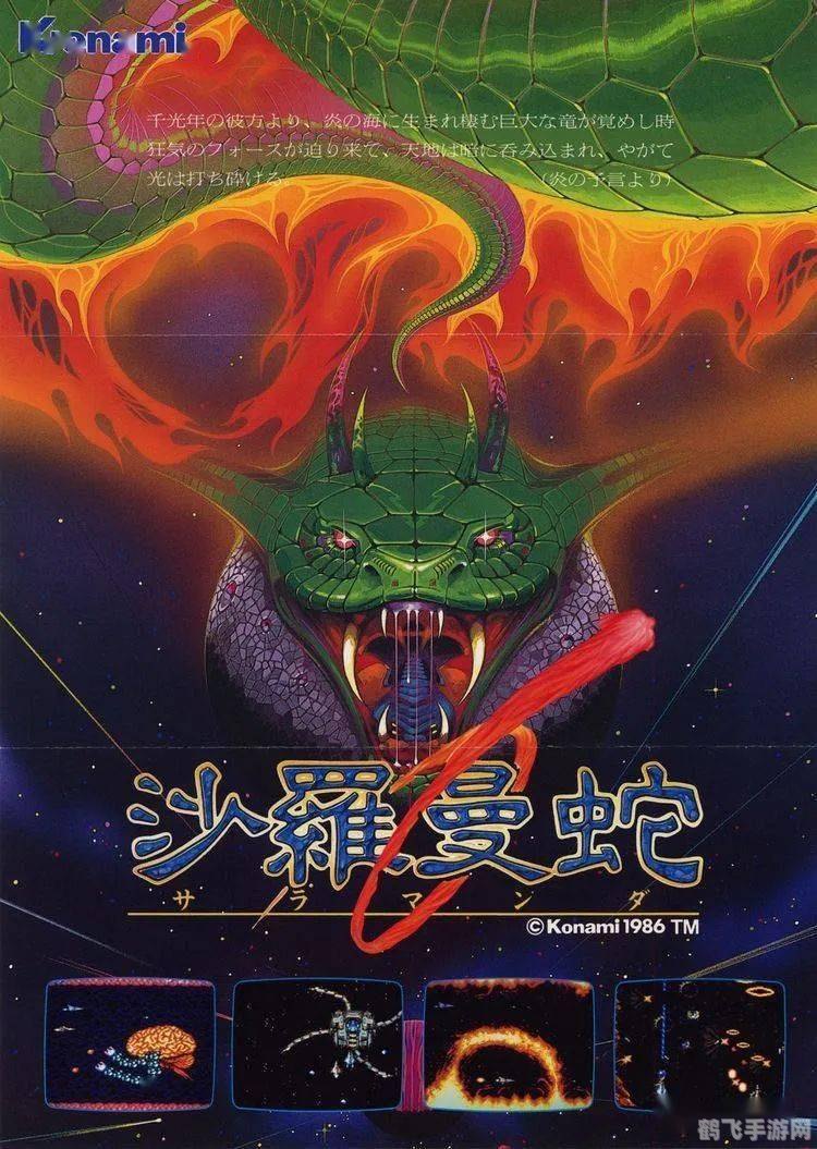 沙罗曼蛇秘籍大揭秘：成为顶级玩家的关键！