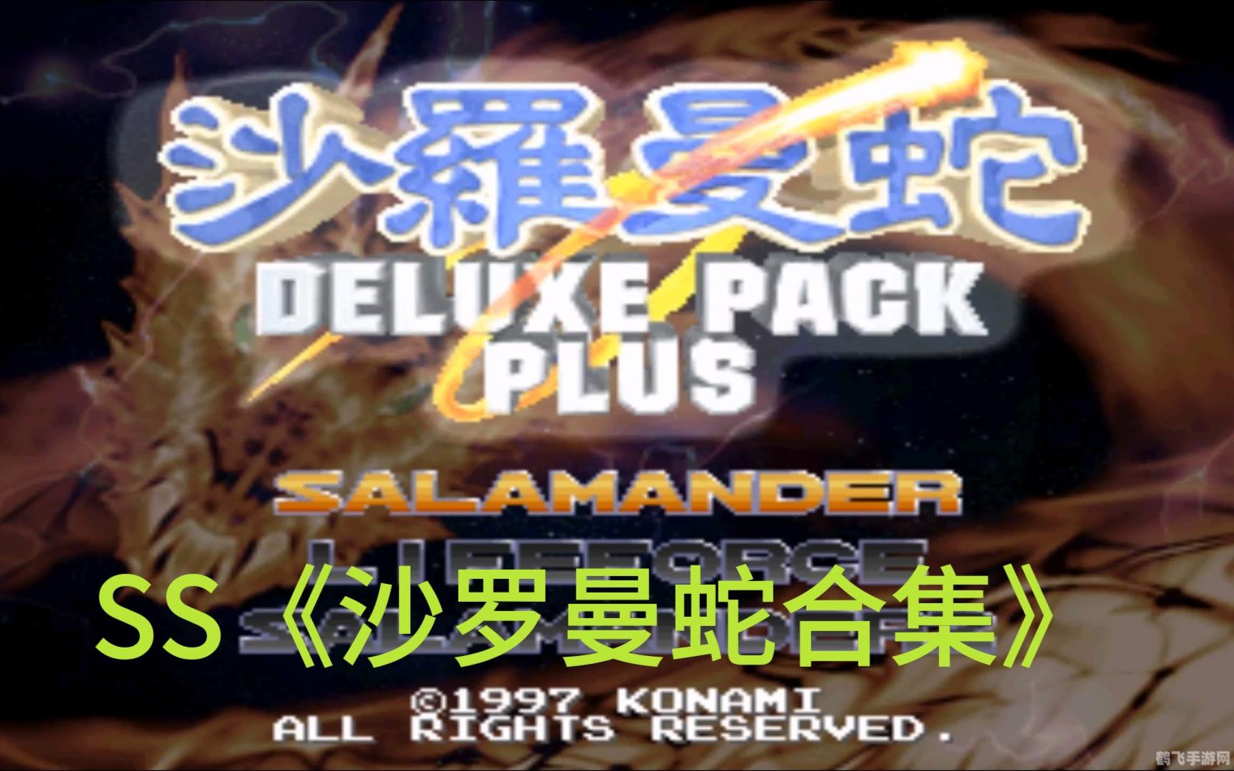 沙罗曼蛇秘籍大揭秘：成为顶级玩家的关键！