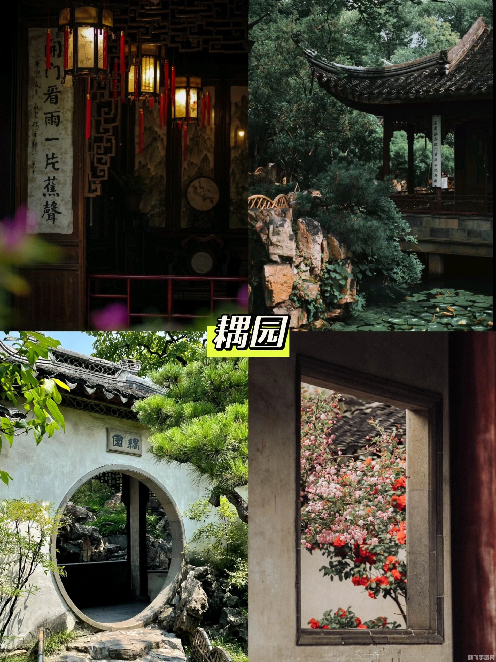 苏州园林中蚂蚁庄园,探秘苏州园林中的蚂蚁庄园——手游攻略大揭秘