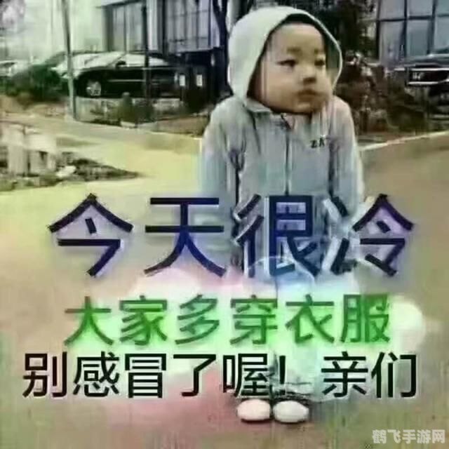 吸血鬼饿了修改版:生存之道与攻略秘籍