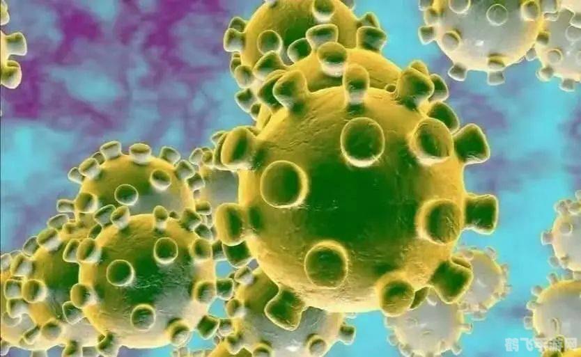 通过新冠核酸检测蚂蚁庄园,蚂蚁庄园新冠核酸检测:掌握关键,守护庄园安全