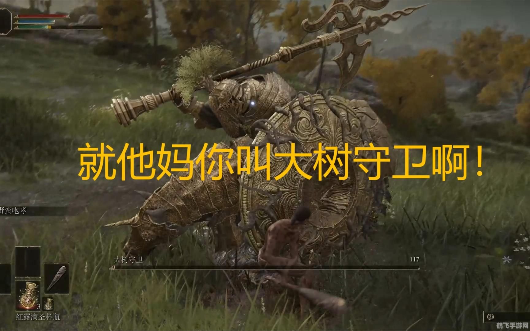 艾尔登法环大树守卫,艾尔登法环大树守卫攻略：征服巨树，守护法环