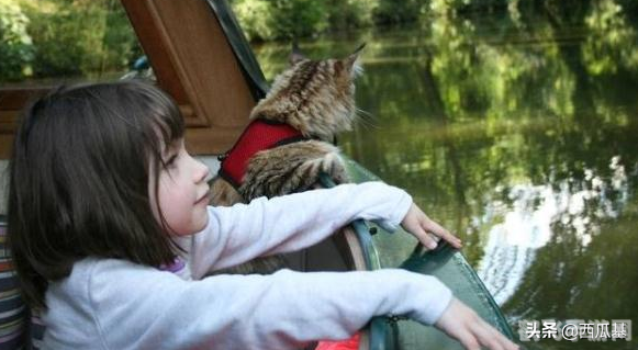 DNF精灵系统全解析 打造最强战斗伙伴