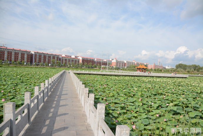 利用搜狗地图包,探索游戏世界新攻略