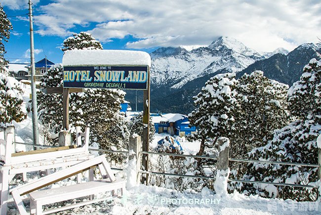 天选之剑 格朗,天选之剑格朗深度解析与攻略指南