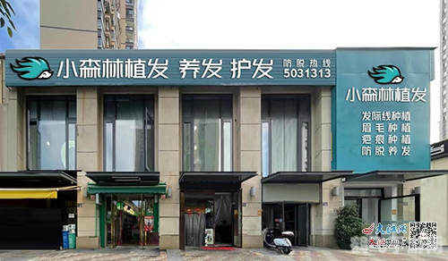 洛鲁克的树枝,洛鲁克的树枝手游攻略：探索神秘森林，解锁隐藏力量！