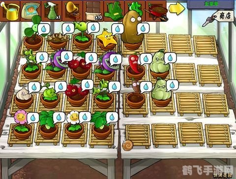 植物大战僵尸东方版手游攻略:守护你的东方花园!