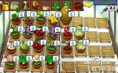 植物大战僵尸东方版手游攻略:守护你的东方花园!