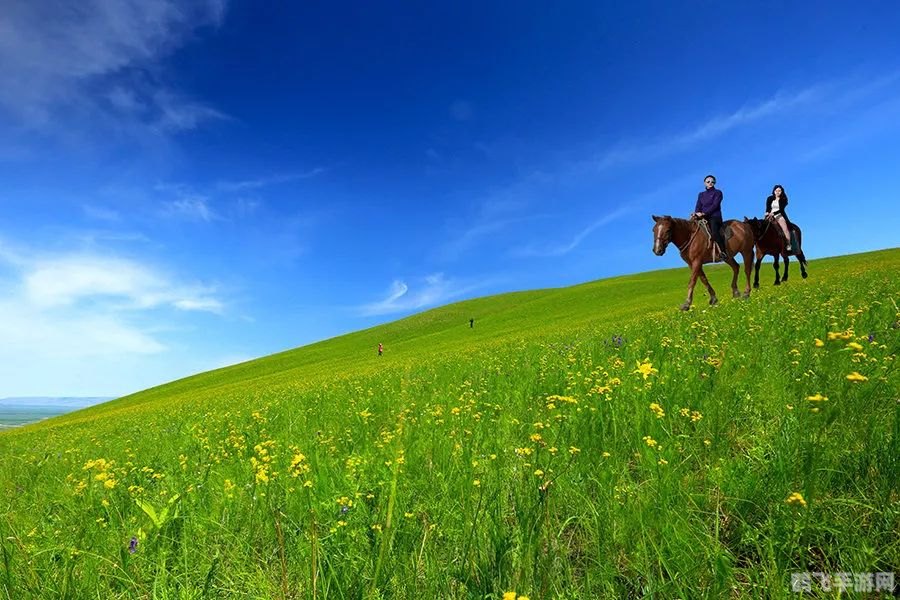 轩辕传奇马贼信使,轩辕传奇马贼信使：草原上的风云变幻