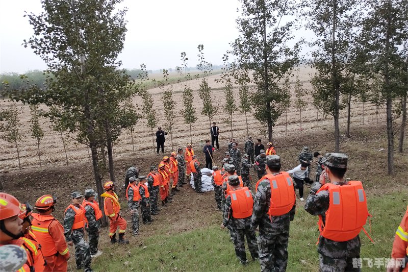 植物大战僵尸 游戏,植物大战僵尸游戏攻略：打造无敌防线，守护你的家园！