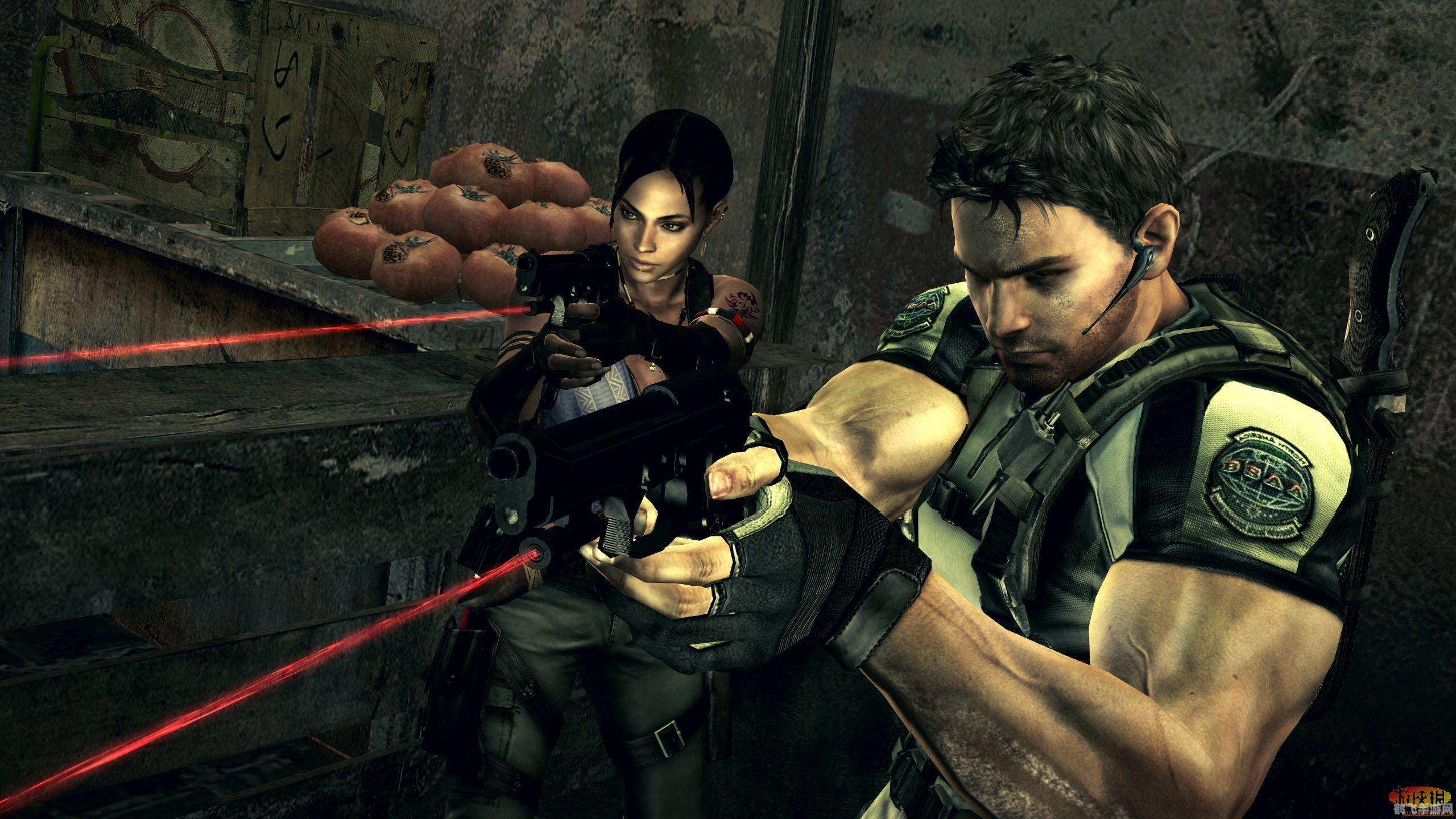 生化危机5游戏动态链接库文件解析及攻略指南