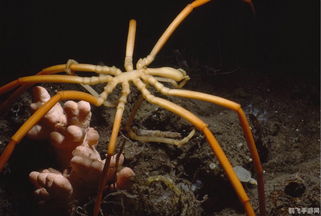 我的世界地球:探索现实与虚拟的交融之旅