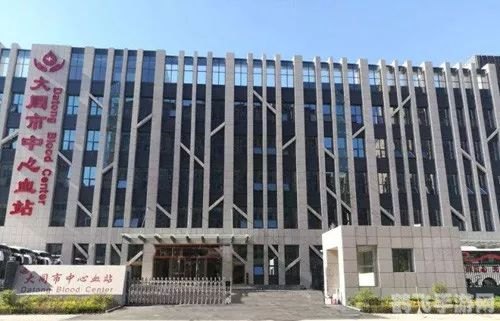 手游桥梁工程师终极攻略：建造稳固之桥，成为工程大师