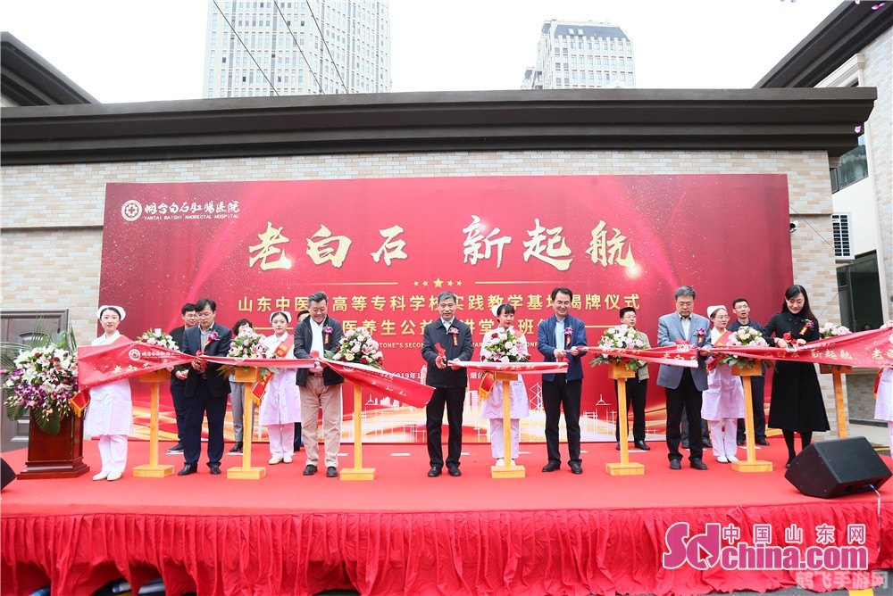 手游桥梁工程师终极攻略:建造稳固之桥,成为工程大师