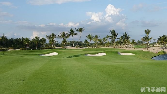 黑森林传奇,黑森林传奇深度探索与攻略指南