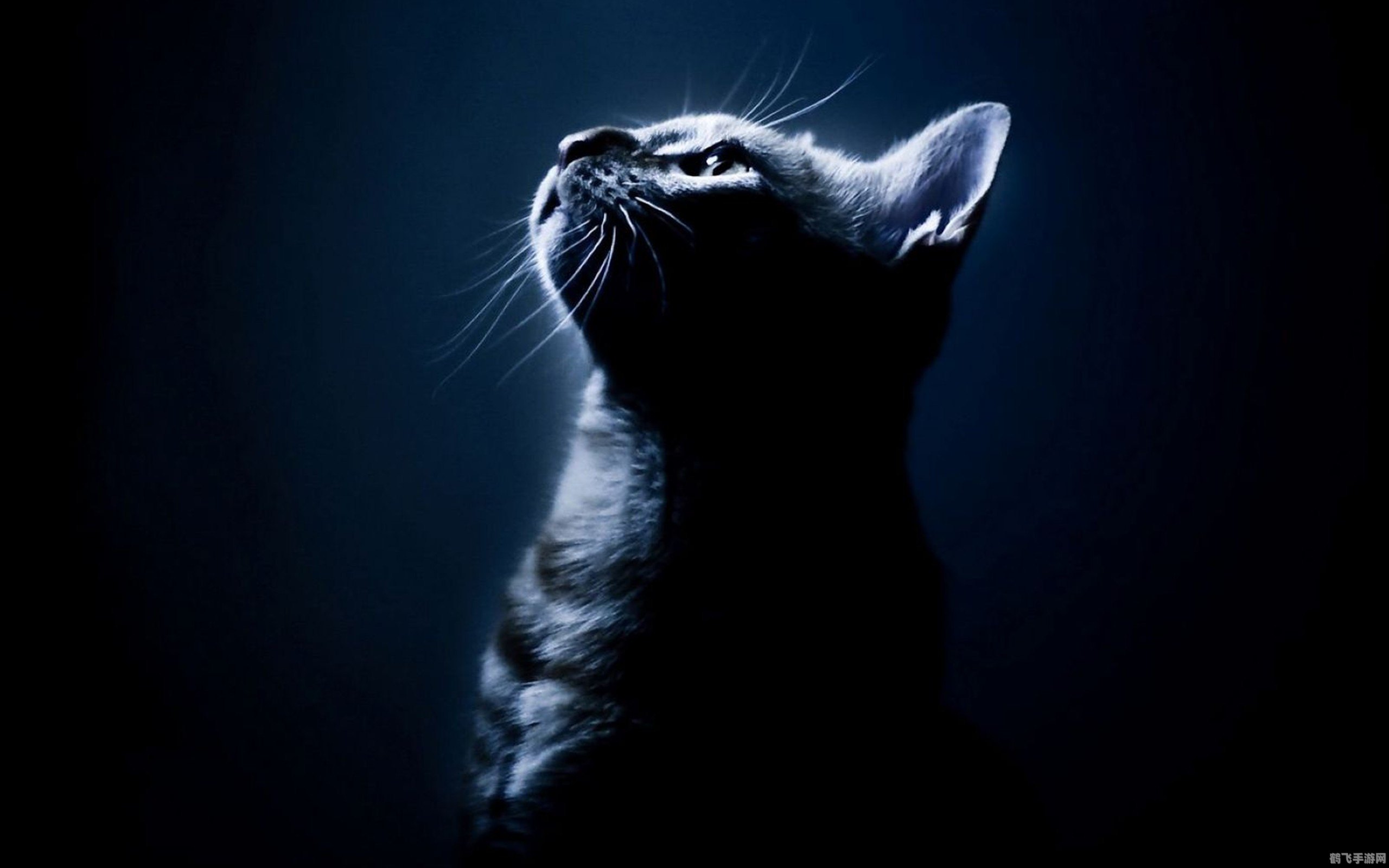 无尽空间修改器,无尽空间修改器助力，手游攻略全解析