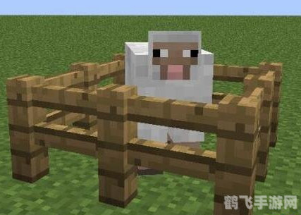 我的世界怎么养动物,我的世界动物养殖全攻略