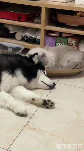 穿越幻想之旅:3D时空隧道探秘指南