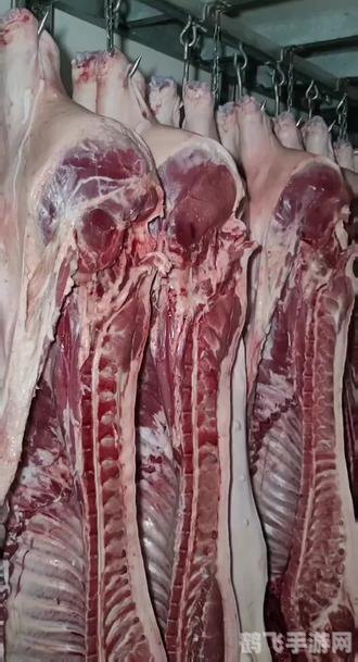 劲舞团舞步全解析:成为舞台之星的秘诀!