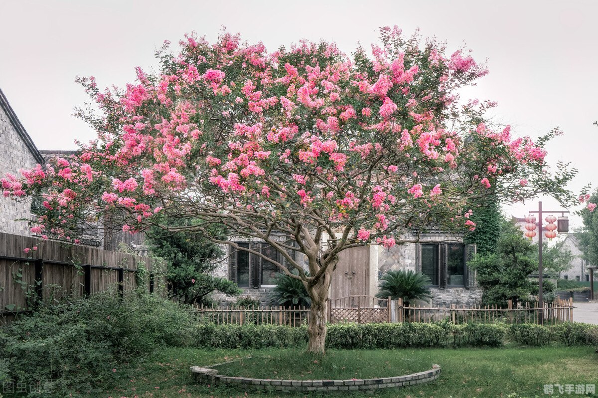 探索云南美食奇境——蚂蚁庄园手游攻略