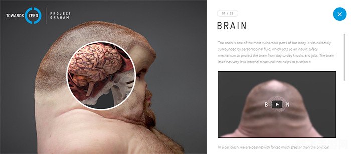 幸存者的钱袋,幸存者的钱袋：财富与生存的博弈秘诀