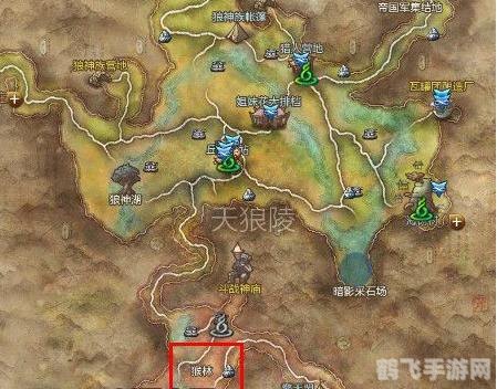 揭秘剑灵小神龙证书的神秘力量