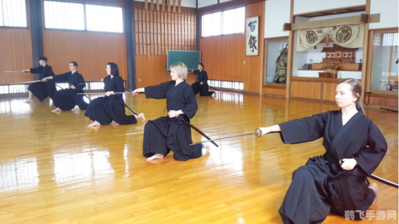 妖妖剑戟梦想：掌握绝学，成为剑道高手！